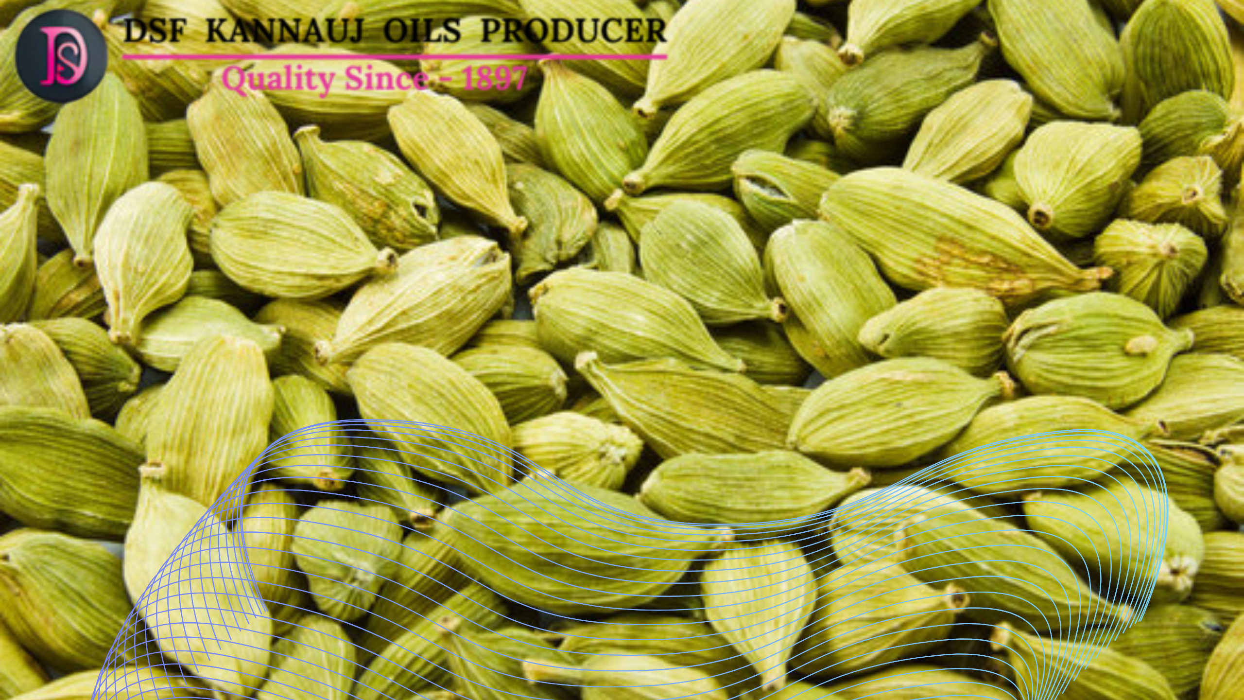 Cardamom Oil Manufacturer and Supplier in India